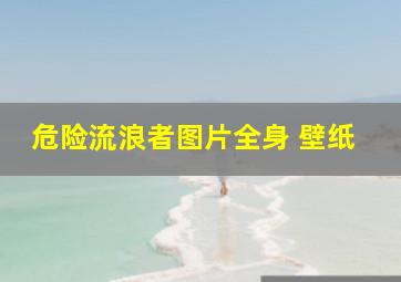 危险流浪者图片全身 壁纸